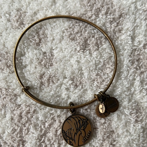 Alex and Ani sister bracelet - Picture 2 of 4